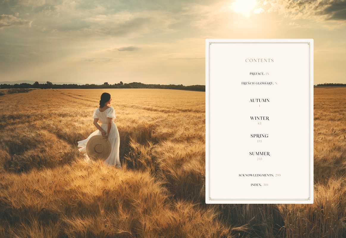 American in Provence by Jamie Beck | Hardcover