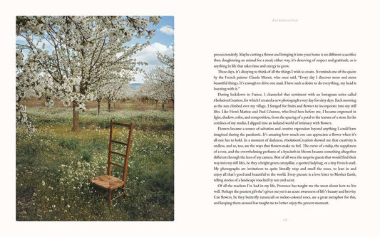 Flowers of Provence by Jamie Beck | Hardcover