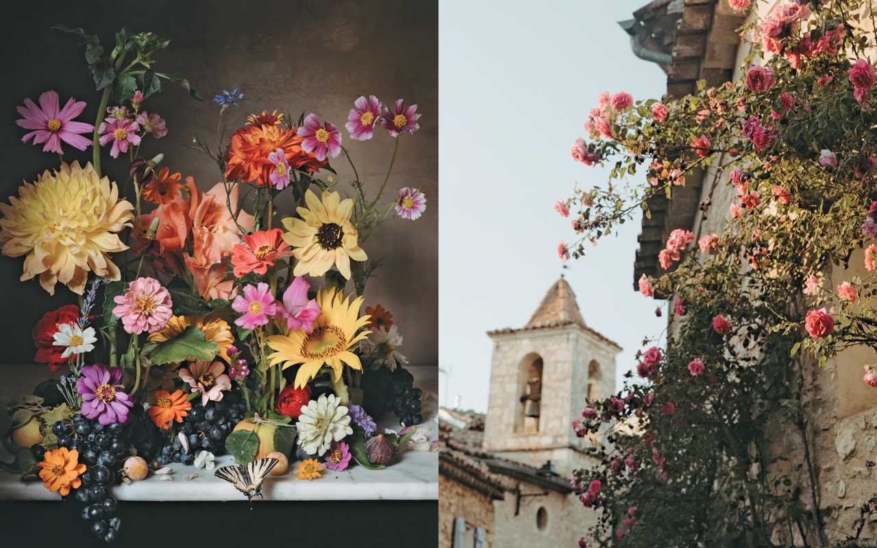 Flowers of Provence by Jamie Beck | Hardcover