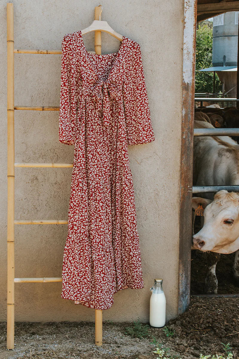 Alejandra Dress Bordeaux Flowers