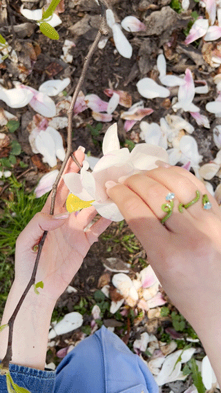 Baby Vine Ring Pistachio