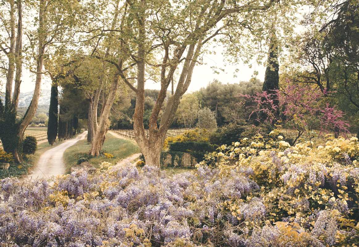 American in Provence by Jamie Beck | Hardcover