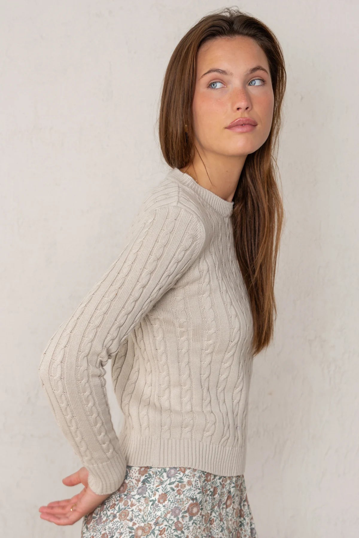Catalina Sweatshirt Beige