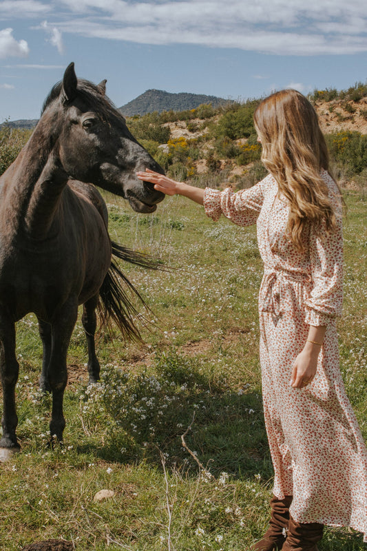 Julieta Dress Red Flowers